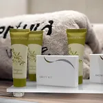 Aventura Village 4* Potos